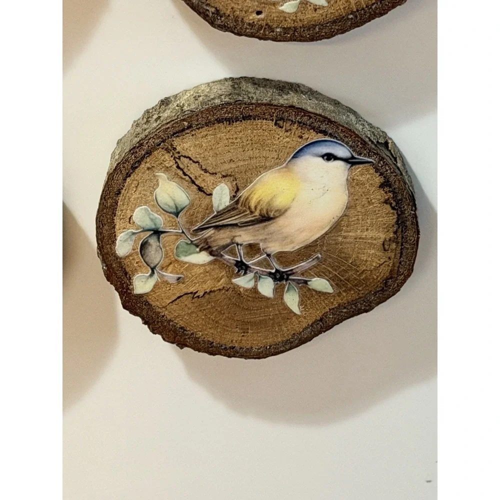 Set Of 4 Natural Oak Wood Bark Bird Magnets